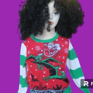 Well Worn Holiday sweater kids santa on sleigh ugly christmas sweater red green